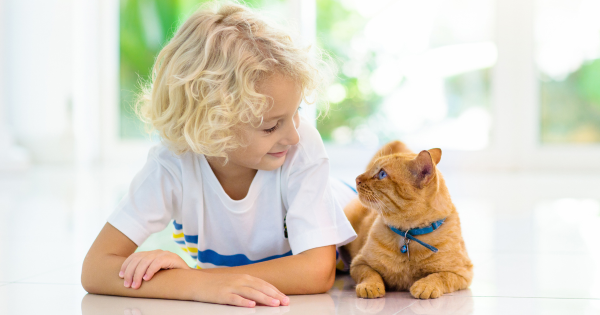 Child with his pet cat at home